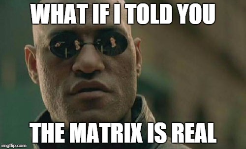 Morpheus-meme-matrix-is-real