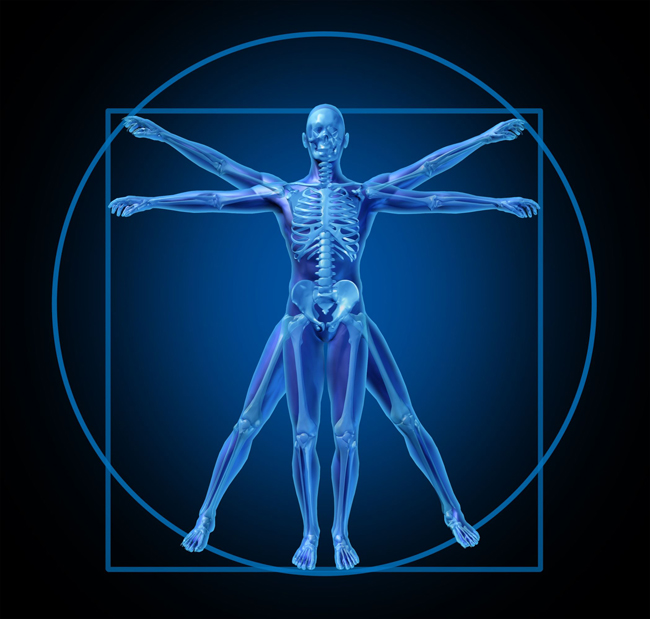 bones